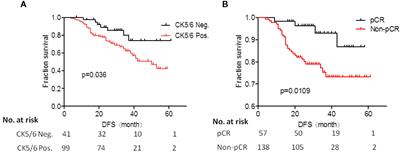 Analysis of CK5/6 and EGFR and Its Effect on Prognosis of Triple Negative Breast Cancer